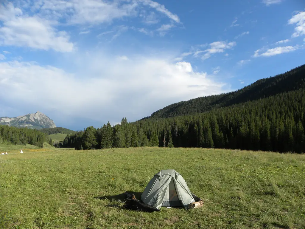 【玩膩了飯店？帶毛小孩來趟寵物友善露營車之旅！懶人包一次奉上】