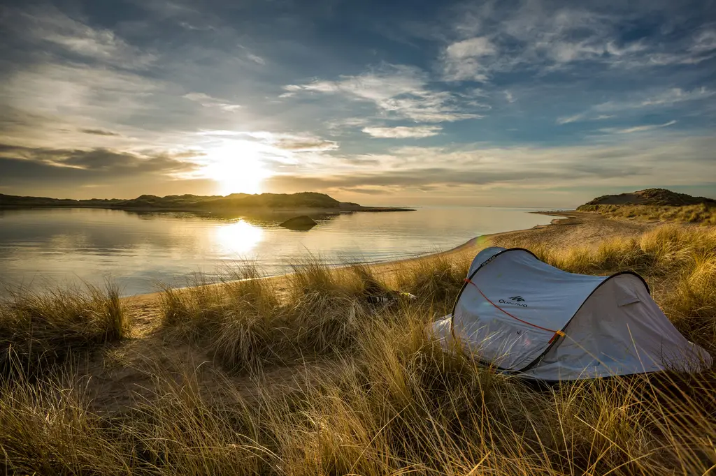 露營椅推薦:Coleman,舒適露營的好夥伴